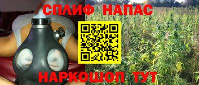 ешки Новозыбков