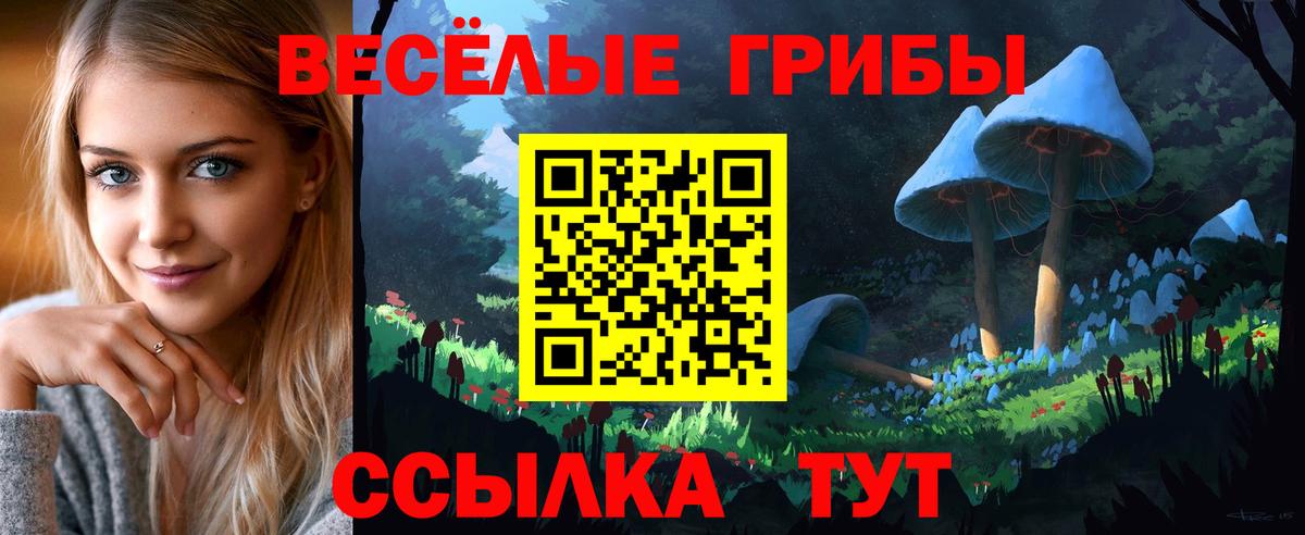 Галлюциногенные грибы мухоморы Туапсе