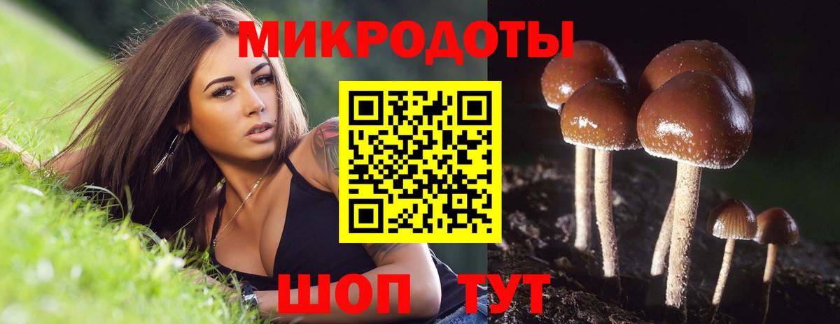 Туапсе  Псилоцибиновые грибы Psilocybe  Псилоцибиновые грибы MAGIC MUSHROOMS  Вход с VPN 